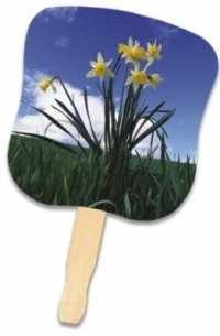 Daffodils Hand Fan