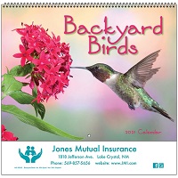 Backyard Birds 2021 Calendar Cover