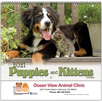 Puppies and Kittens 2021 Calendar Cover