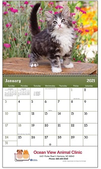 Puppies and Kittens 2021 Calendar
