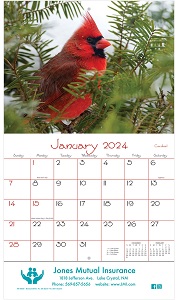 Backyard Birds Calendar