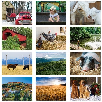 Old Farmers Almanac Country Calendar Monthly Scenes