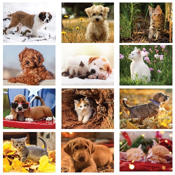 Puppies and Kittens Calendar Monthly Scenes