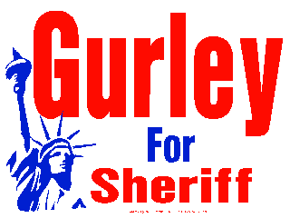 Political Campaign Yard Sign